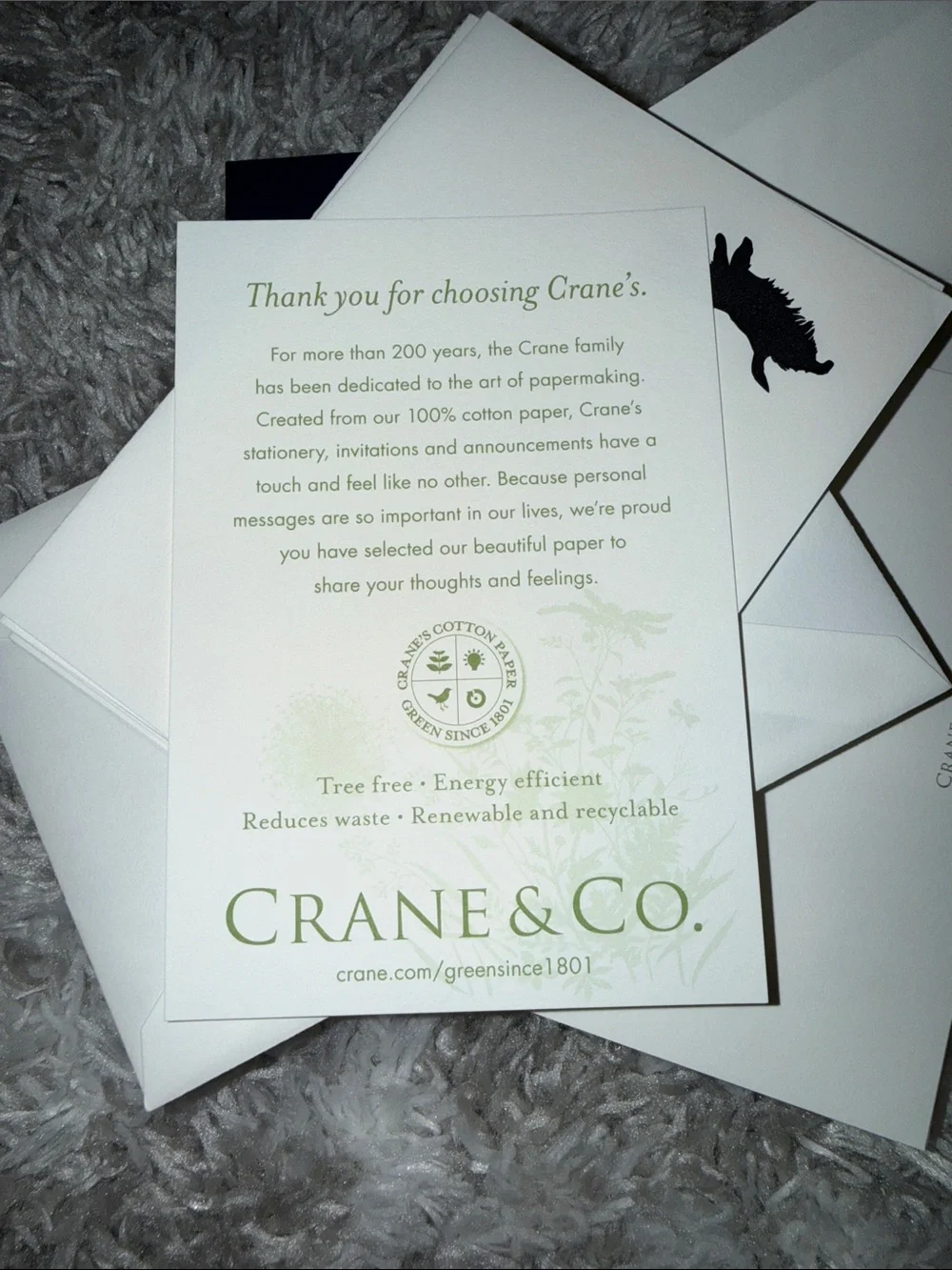 Crane & Co. Scottie Hand Engraved Notes on Pearl White Kid Finish paper.